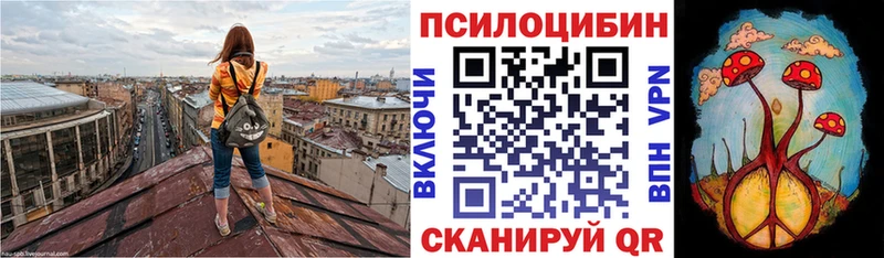 Купить где  Ульяновск  Галлюциногенные грибы мухоморы 